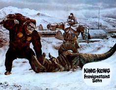 kingkongfs